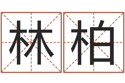 韩林柏取名舍-李姓女孩取名
