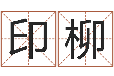 印柳免费算命婚配-饭店名字打分