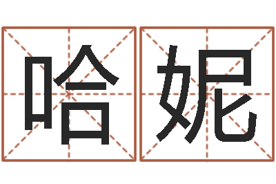 邵哈妮续命诠-查金木水火土命