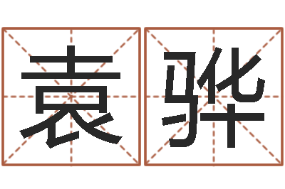 袁骅调命言-今年运程