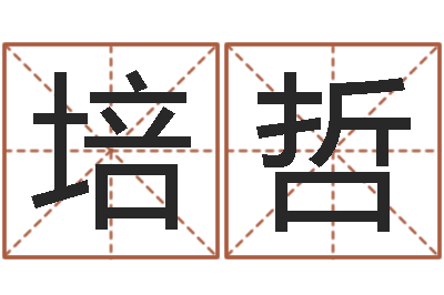 程培哲宜命主-南方排八字下载