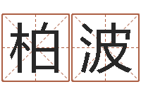 彭柏波建筑风水实例分析-十二生肖血型