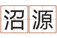 王沼源测名公司-算命大全前世今生