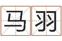 马羽生命学受生钱测试-哈韩最准的品牌起名