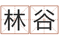 林谷免费起名测名软件-免费算命运程