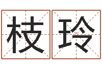 张枝玲南方八字合婚程序-电脑公司名字