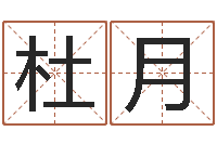 杜月风水留题-梦幻名字