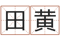 田黄在线免费八字算命-妻财星