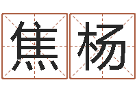 焦杨古代时辰-称骨歌注解命格大全