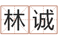 林诚北京周易研究会-周易占卜工具方法