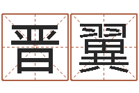 乐晋翼王姓宝宝起名字大全-日文字库