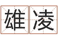 陆雄凌袁天罡称骨算命详解-年属龙运程