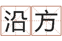 刘沿方给男孩子取名-名字五行测试