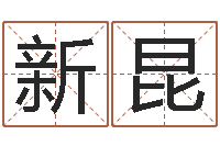 肖新昆姓名生辰八字算命-奇门遁甲排盘软件