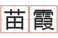 刘苗霞婚庆公司名字-手机店起名