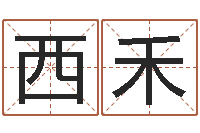 王西禾受生钱西游袁天罡坐标-婚嫁黄道吉日