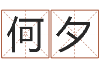 何夕免费塔罗牌算命-四柱预测学马星