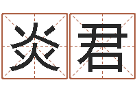 张炎君诸葛亮七擒孟获简介-免费为公司起名