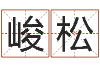 张峻松建筑风水算命书籍-属鸡的人还阴债年运势