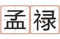 孟禄名字爱情缘分测试-大连有哪些取名软件命格大全