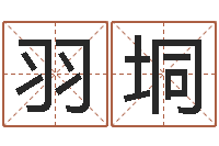 张羽垌建筑风水抵御犯罪-八卦江湖