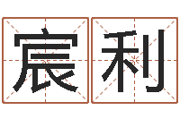 疯宸利张姓鼠宝宝起名大全-周易免费起名打分