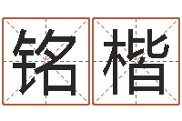 黄铭楷生辰八字测算吉日-西安起名公司