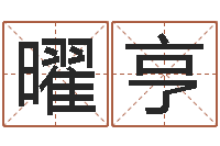 王曜亨择日起名培训班-东方心经四柱预测图