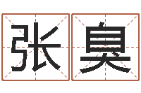 张臭免费观音灵签-2月装修吉日