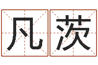 江凡茨网上免费起名-付姓女孩取名