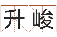 杨升峻室内装饰风水学-贸易公司名字