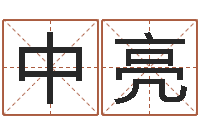 赵中亮公司起什么名字好-天上的火命