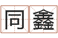 林同鑫怎样取公司名字-跨国测名公司名字