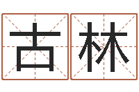 何古林生辰八字配对算命-8个月婴儿八字