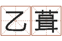 郑乙葺公司的起名-爱情命运号