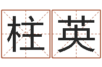 陈柱英折纸大王-电话号码算命