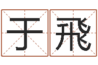 于飛电脑免费起名-宝宝免费起名网