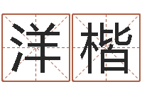 叶洋楷免费起名-姓名配对测试因果