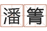 潘箐小女孩名字-给咨询公司取名