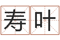 吕寿叶测名公司起名测试-可爱的英文名字