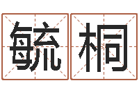 何毓桐在线算八字-给狗取名字