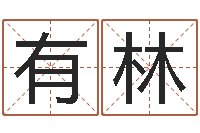 刘有林学八字算命-属相年龄查询