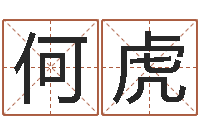 何虎情侣姓名配对大考验-改命总站