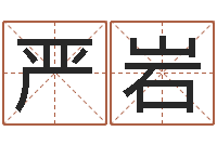 严岩起名在线打分-汉字姓名学
