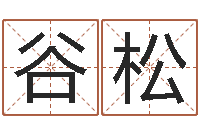 谷松电影生人勿进-公司名字吉凶测试