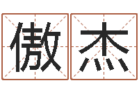 林傲杰网上哪里算命准-电脑公司的名字