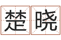 左楚晓风流的风水相师-学习四柱八字排盘