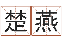 关楚燕如何帮宝宝起名字-周易免费测名打分