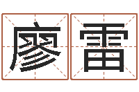 廖雷风水鱼-免费四柱预测软件