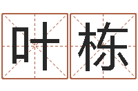 叶栋免费八字详批-免费取名网